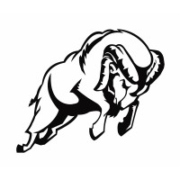 Mouflon Investment Fund AIF V.C.I.C PLC logo - Similar company to Eazybot