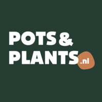 Pots&Plants logo - Similar company to Boundless Digital
