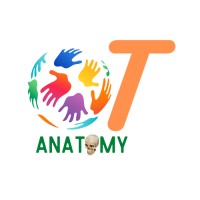 OT Anatomy logo - Similar company to Ot Without Borders
