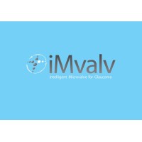 iMVALV logo - Similar company to Phylumtech