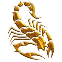 Scorpyon Tech Solutions, Llc