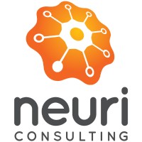 NEURI CONSULTING LLP logo - Similar company to Cambridge Analytics Limited