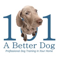 A Better Dog