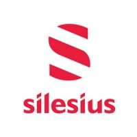 Silesius logo - Similar company to Ergosistem