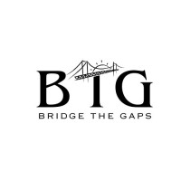 Bridge The Gaps logo - Similar company to Bridge The Gaps