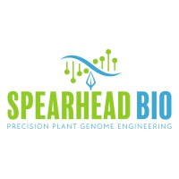 Spearhead Bio logo - Similar company to Muu