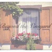 Beyond the Vineyard International Consultants logo - Similar company to Love And Hate