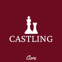Castling Core logo - Similar company to Youth4Drr
