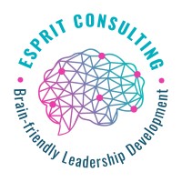 Esprit Consulting logo - Similar company to Purposeful Change