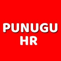 Punugu HR Consultancy logo - Similar company to Gm Software