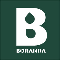 BORANDA logo - Similar company to Myd Advisors Group