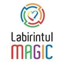 Centrul Labirintul Magic logo - Similar company to Custom Code Factory