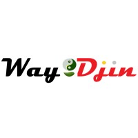 Coach Ta Réussite avec Way-Djin Wellness Pro logo - Similar company to Coach For Eyes