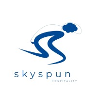 SkySpun logo - Similar company to Indxart