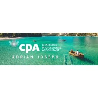 Adrian Joseph CPA Professional Corporation logo - Similar company to Adaptive Consulting