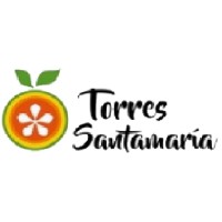 Torres Santamaria logo - Similar company to Kl Security