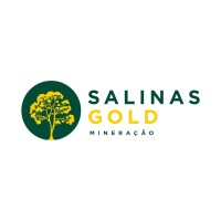 Salinas Gold Mineração Ltda logo - Similar company to Minatec