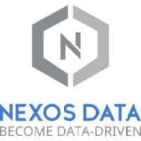 Nexos Data - Become Data Driven logo - Similar company to Viewb Analytics