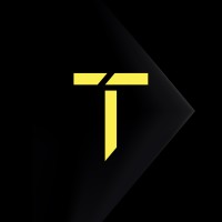 Troygold logo - Similar company to Mesh.Trade