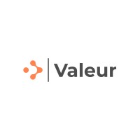 Valeur Consulting logo - Similar company to Vizenet