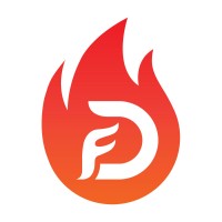 Digital On Fire logo - Similar company to Cloud 9 Solutions - Digital Marketing & Creative