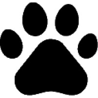 New World People logo - Similar company to Discovers Academy