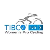 Team Tibco Silicon Valley Bank