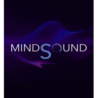 Mindsound logo - Similar company to Avl Technology