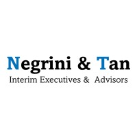 Negrini & Tan - Advisors logo - Similar company to European Alliance For Industrial Data, Edge And Cloud