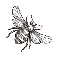 Het Natuurlijke Wezen logo - Similar company to Guida