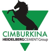 CIMBURKINA Officiel logo - Similar company to Cimfaso