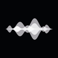 Steven Slate Audio logo - Similar company to Slate Digital