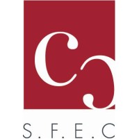 S F E C SOCIETE FIDUCIAIRE D'EXPERTISE COMPTABLE logo - Similar company to Luor Conseil - Expertise Comptable