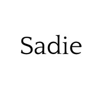SADIE logo - Similar company to Cte Digital