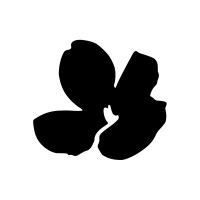 POPPY AMERICA logo - Similar company to Cps Technology Solutions