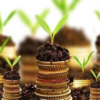 Elite Financial Services (UAE) logo - Similar company to Instaloan