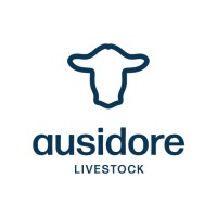 Ausidore logo - Similar company to Trt Group Australia