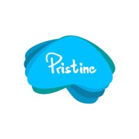 Pristine PPC Solutions logo - Similar company to Technorayz
