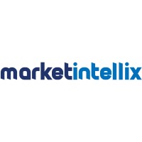 Market intelliX logo - Similar company to Csi, Sr University