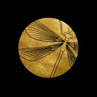 Mikado Capital logo - Similar company to Ltl Holdings