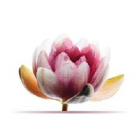 Salt Spring Malas And Yoga Jewelry