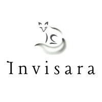 Invisara logo - Similar company to Syncronosys