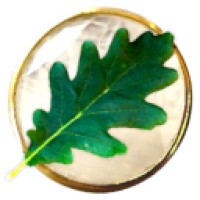 Grenefolc logo - Similar company to Green Mayors Solutions Pvt Ltd