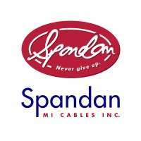 Spandan MI Cables Inc. logo - Similar company to Appforce Inc.