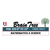 Brain Tree logo - Similar company to Braintree
