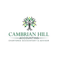 Cambrian Hill Accounting logo - Similar company to Danbar Plastics