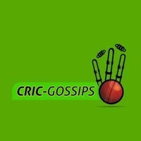 Dream11 Expert Team logo - Similar company to Dream Team