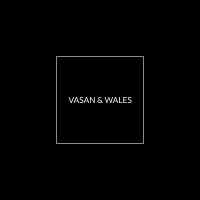 Vasan & Wales logo - Similar company to Intellacc Fintech Private Limited