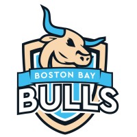 Boston Bay Bulls logo - Similar company to De Zaak