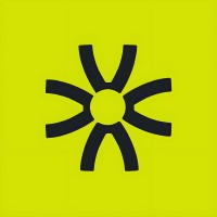 Collective Intelligence logo - Similar company to Pavan Consultores